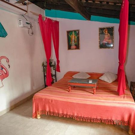 Cozy Dream Apartment أنجونا المظهر الخارجي الصورة