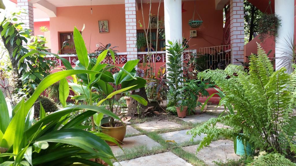 Cozy Dream Apartment أنجونا الغرفة الصورة