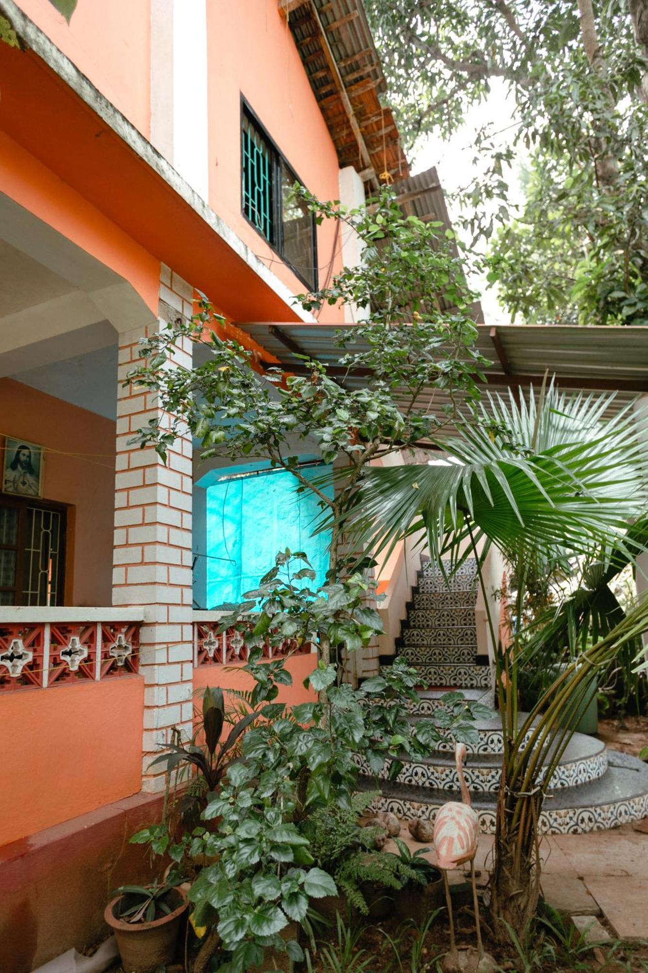 Cozy Dream Apartment أنجونا المظهر الخارجي الصورة