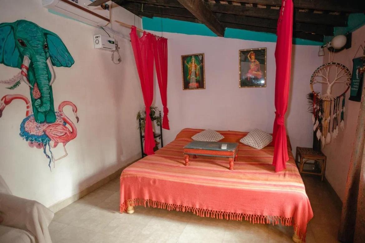 Cozy Dream Apartment أنجونا المظهر الخارجي الصورة