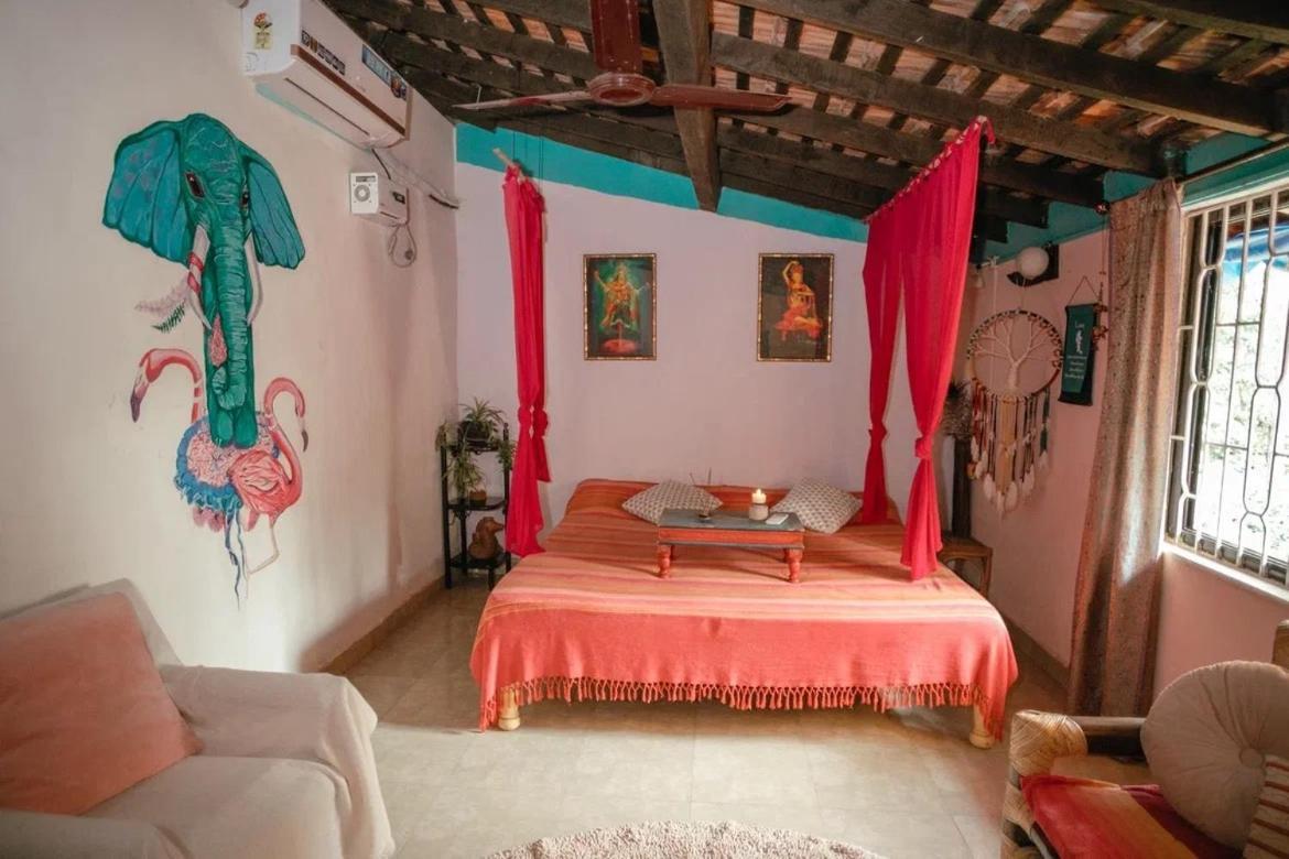 Cozy Dream Apartment أنجونا المظهر الخارجي الصورة