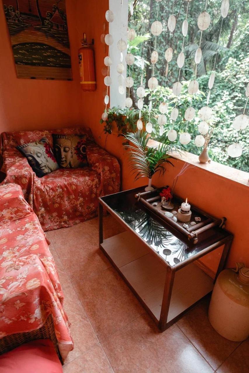 Cozy Dream Apartment أنجونا المظهر الخارجي الصورة