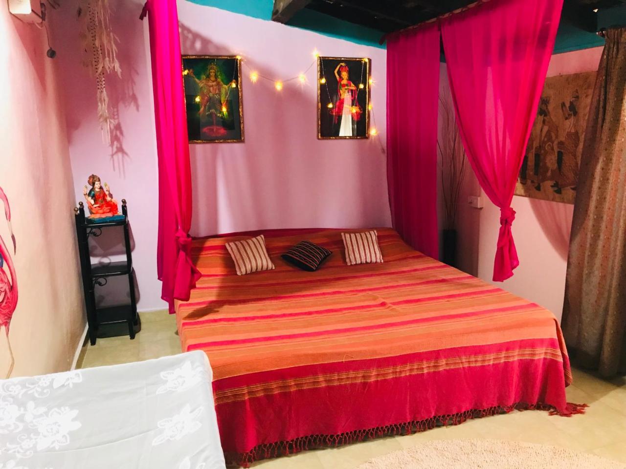 Cozy Dream Apartment أنجونا المظهر الخارجي الصورة