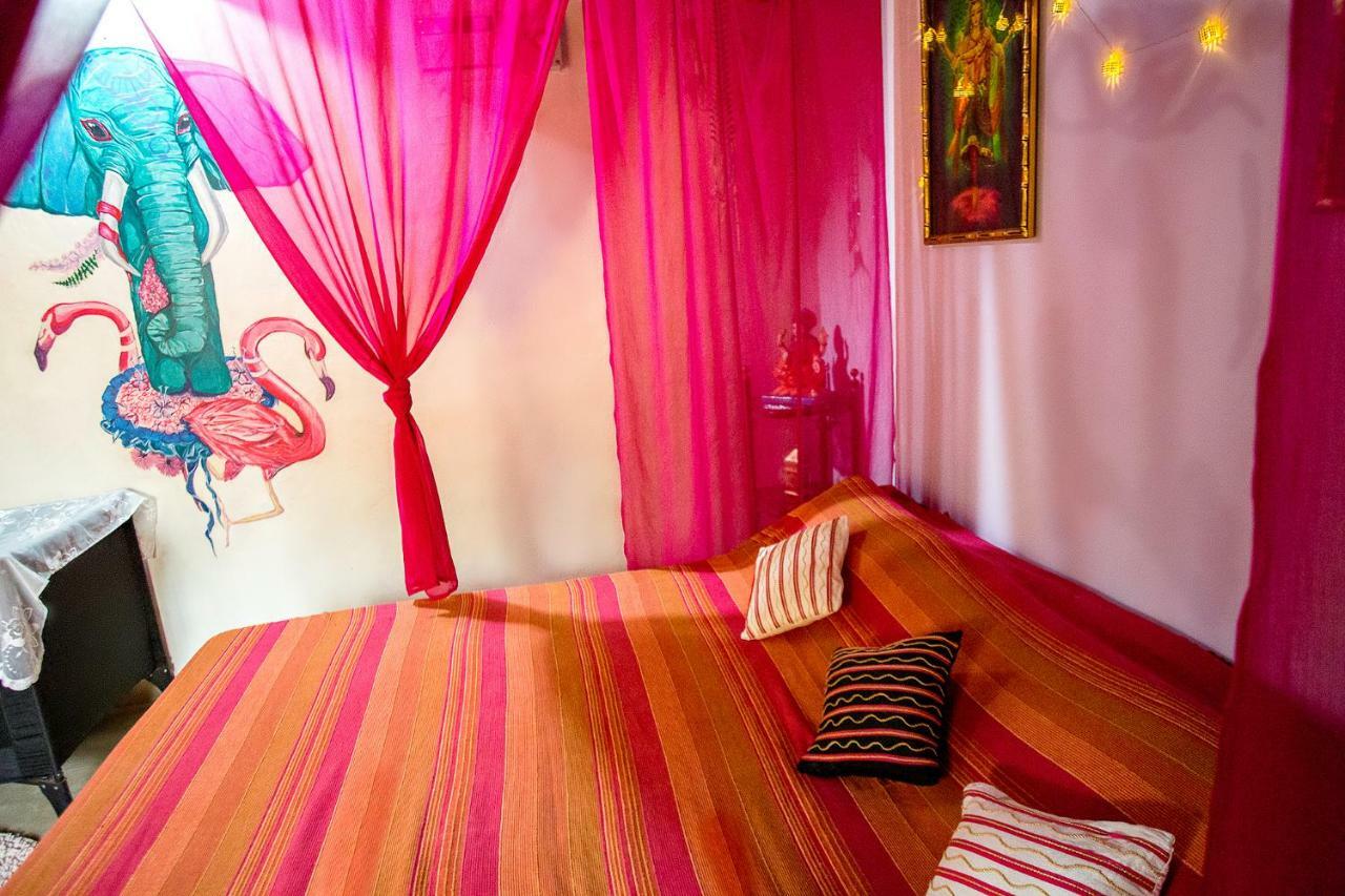 Cozy Dream Apartment أنجونا المظهر الخارجي الصورة